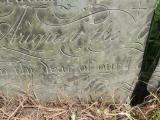 image of grave number 658688
